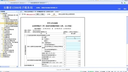 安徽省电子税务局